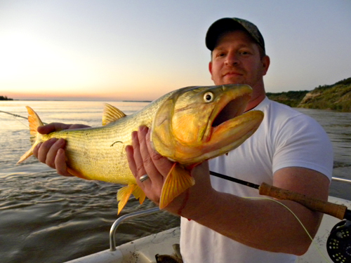 Dorado fishing